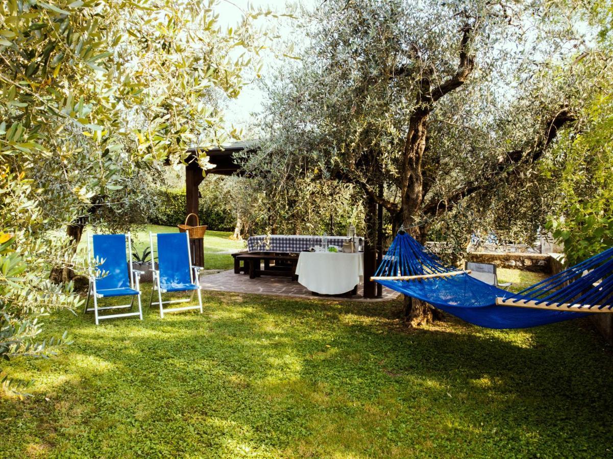 Experience! Marone